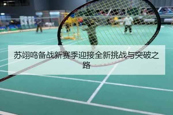 苏翊鸣备战新赛季迎接全新挑战与突破之路
