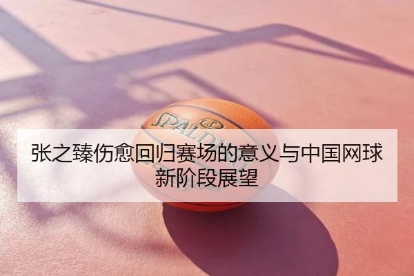 张之臻伤愈回归赛场的意义与中国网球新阶段展望