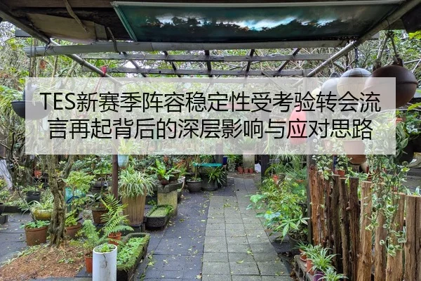 TES新赛季阵容稳定性受考验转会流言再起背后的深层影响与应对思路